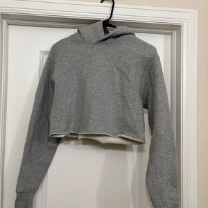 Aritzia Gray Cropped Hoodie XS EUC